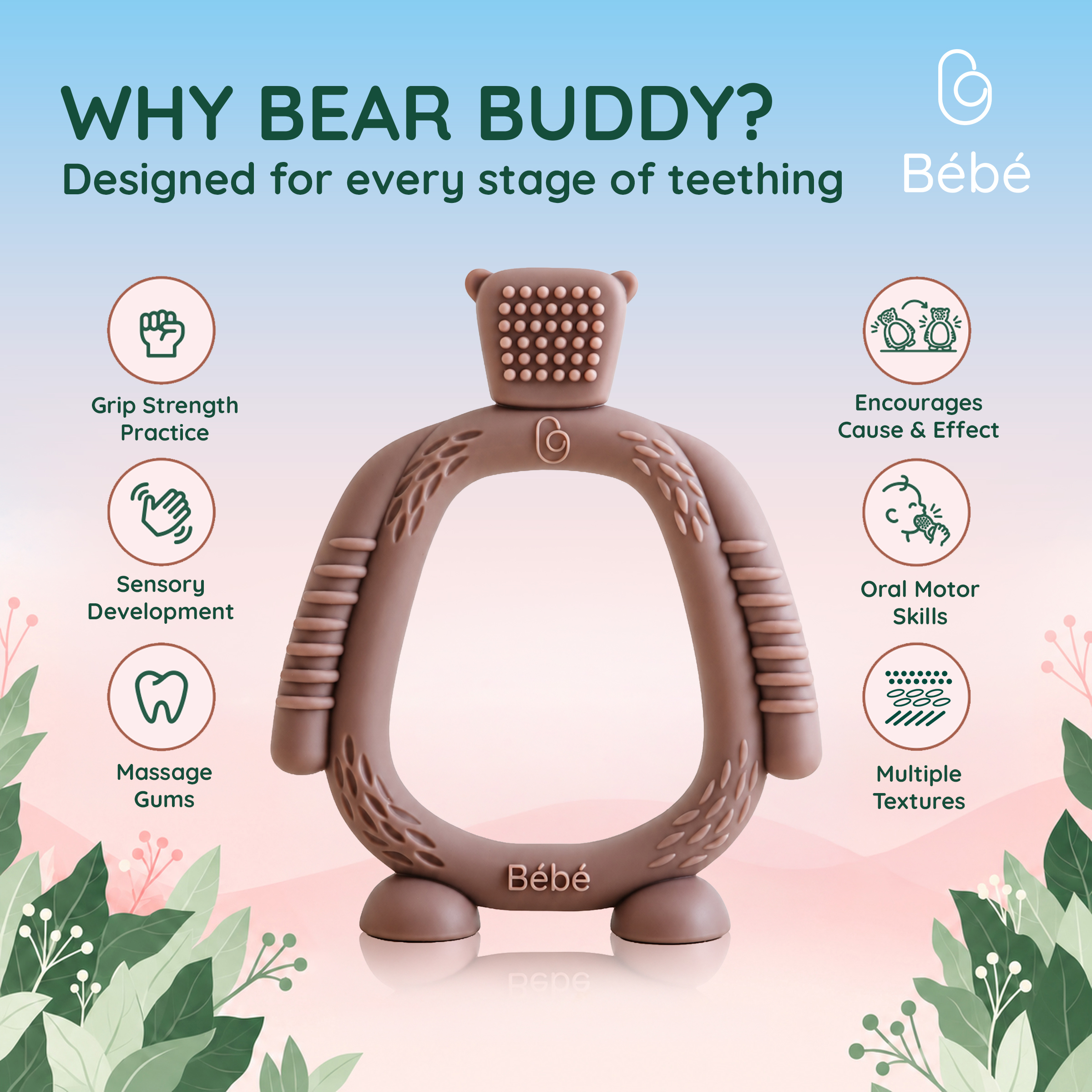 Bear Buddy teether, key features